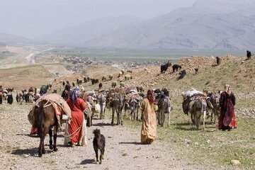 خدمات دولت در سبزوار موجب مهاجرت معکوس شده است