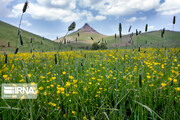 Charkhalan Summertime tourist resort in Kermanshah province