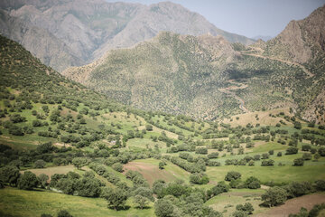 طبیعت مسیر سروآباد به کامیاران