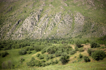 طبیعت مسیر سروآباد به کامیاران