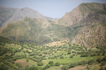 طبیعت مسیر سروآباد به کامیاران