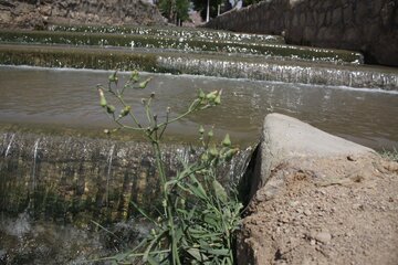 پارا یا آب پخش کن سمنان