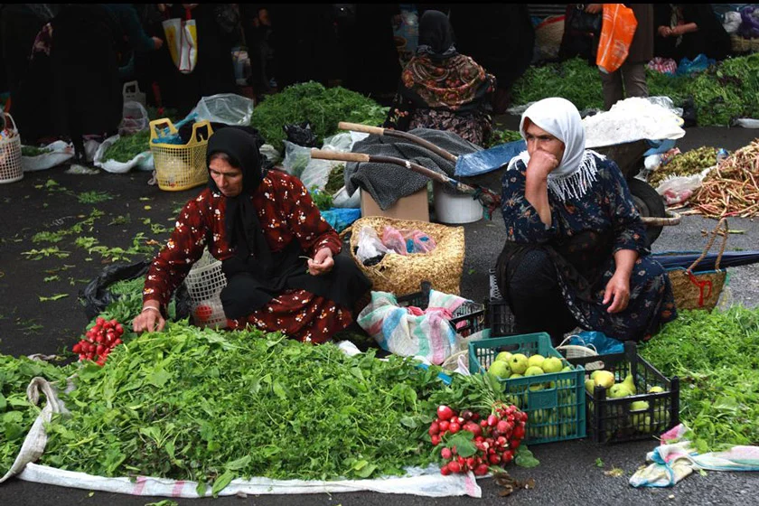 سبزیکاری ظرفیت بزرگ و مغفول در مازندران
