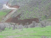 ۱۲۷ هکتار از عرصه‌های طبیعی کردستان رفع تصرف شد