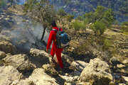 تلاش برای مهار آتش سوزی منطقه حفاظت شده خاییز 