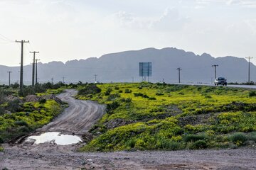 طبیعت زیبا جاده کرمان بم