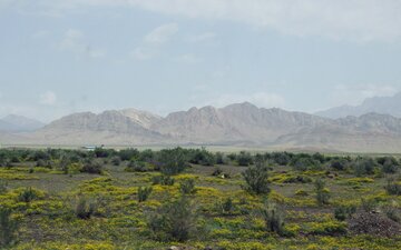 طبیعت زیبا جاده کرمان بم