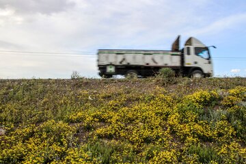 طبیعت زیبا جاده کرمان بم