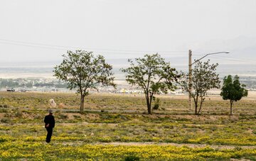 طبیعت زیبا جاده کرمان بم