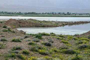 طبیعت زیبا جاده کرمان بم