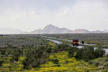 طبیعت زیبا جاده کرمان بم