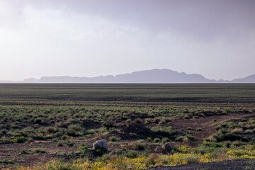 طبیعت زیبا جاده کرمان بم