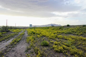 طبیعت زیبا جاده کرمان بم