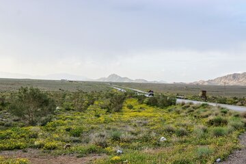 طبیعت زیبا جاده کرمان بم