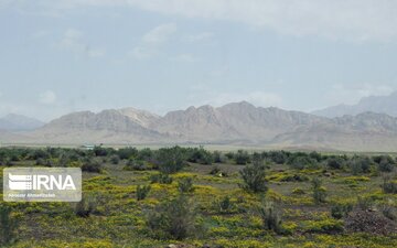 Beautiful nature of roads in southeast Iran