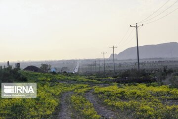 Beautiful nature of roads in southeast Iran