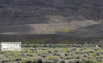 Beautiful nature of roads in southeast Iran