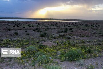 Beautiful nature of roads in southeast Iran