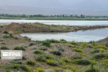 Beautiful nature of roads in southeast Iran