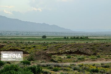 Beautiful nature of roads in southeast Iran