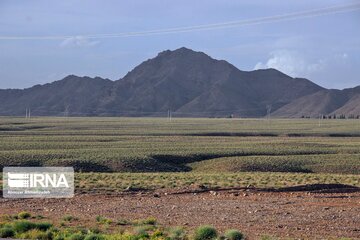 Beautiful nature of roads in southeast Iran