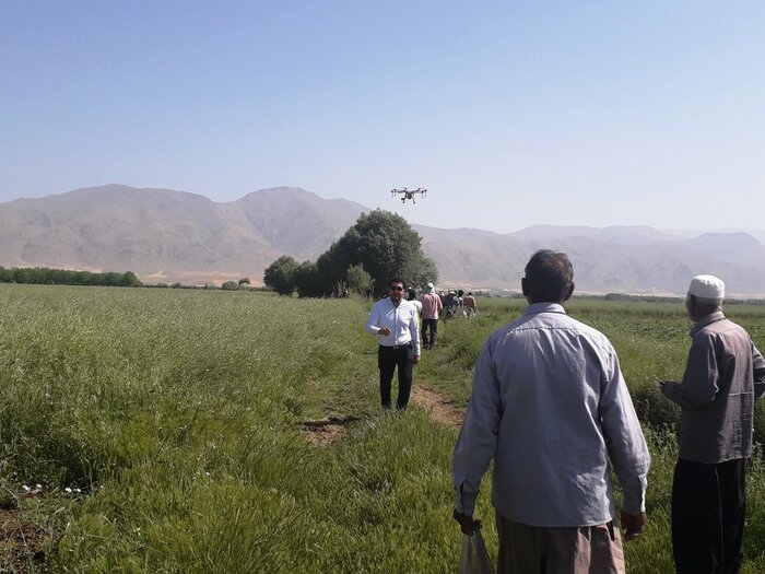مبارزه شیمیایی در مزارع غلات