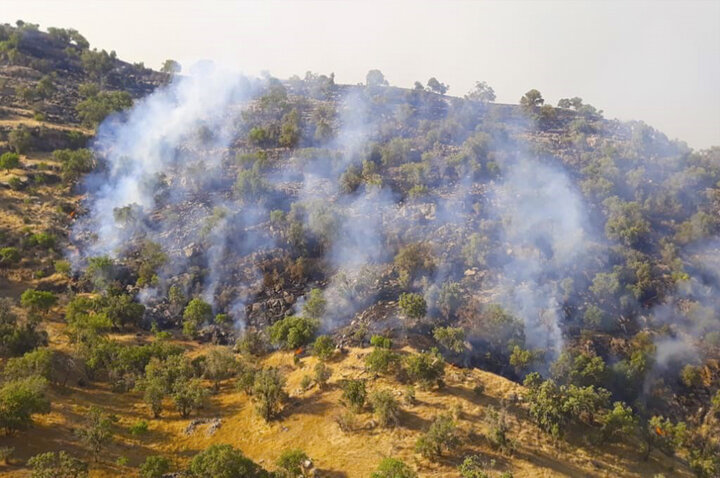 بخشی از آتش سوزی منطقه دیل در گچساران مهار شد - ایرنا