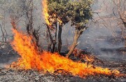  ۲۹ درصد عرصه‌های طبیعی خراسان شمالی در محدوده پرخطر آتش‌سوزی