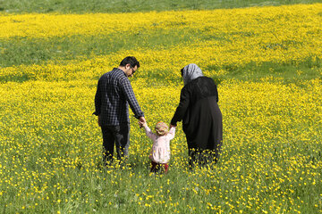 طبیعت بهاری دامنه های سبلان در اردبیل