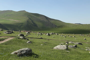 طبیعت بهاری دامنه های سبلان در اردبیل