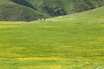 طبیعت بهاری دامنه های سبلان در اردبیل