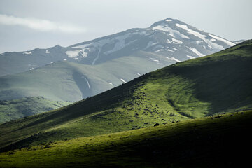 طبیعت بهاری دامنه های سبلان در اردبیل