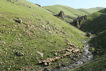 طبیعت بهاری دامنه های سبلان در اردبیل