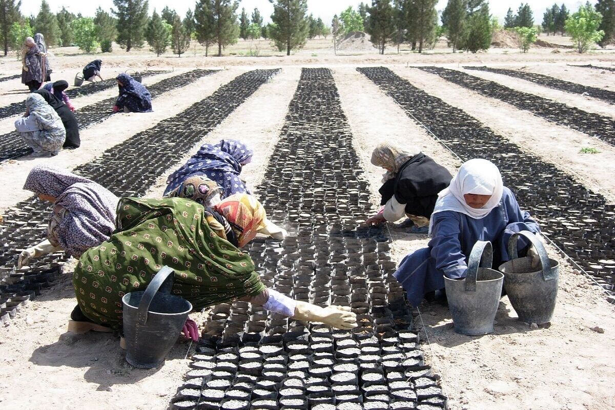 طرح «ترسیب کربن» در 6 روستای مهاباد اجرا می‌شود