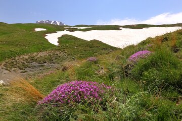 کوه بزسینا