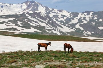 کوه بزسینا