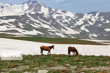 urmia