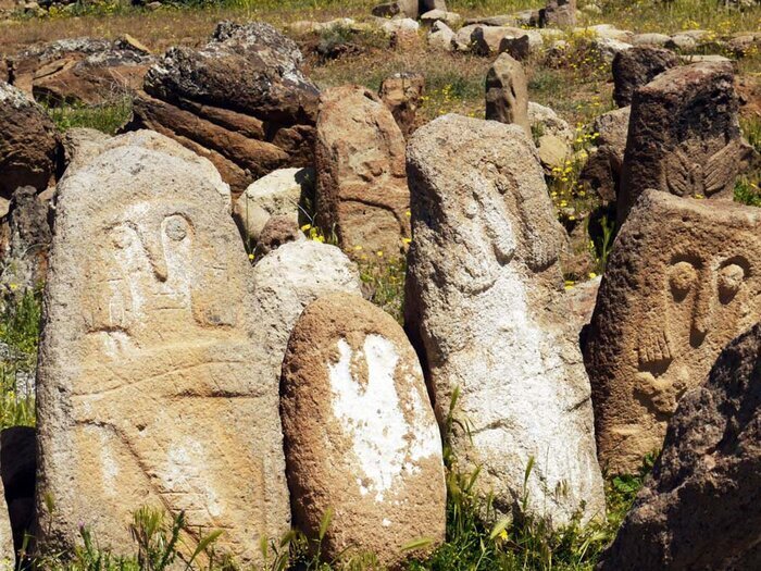 15 new petroglyphs sites found in Meshginshahr, northwestern Iran ...