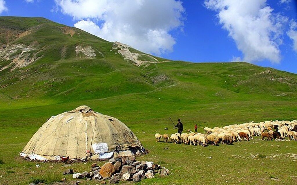 عشایر خراسان شمالی ۳۰ درصد گوشت استان را تامین می‌کنند