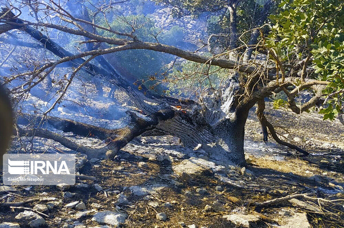 جنگل‌ها و مراتع دالاهو گرفتار آتش شد