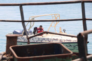 سه فروند قایق حامل محموله قاچاق دام زنده در آب های قشم توقیف شد