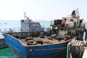 پنج فروند قایق حامل سوخت و دام قاچاق در آب های خلیج فارس توقیف شد