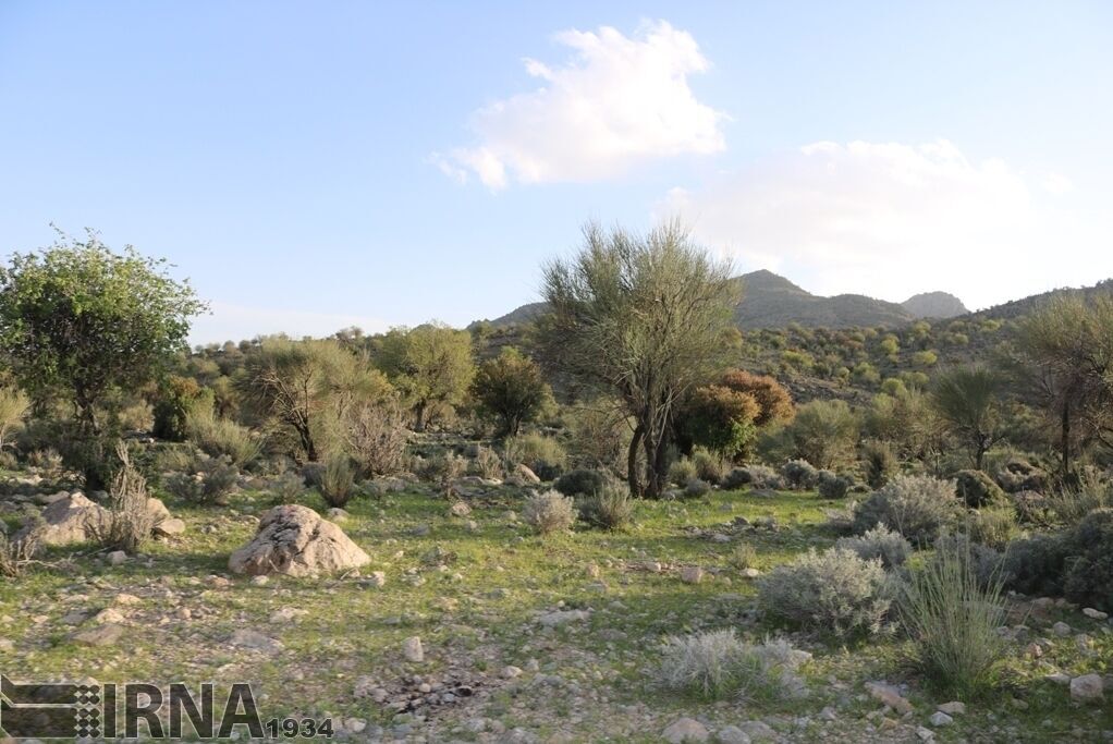 11 روستای باشت در منطقه حفاظت شده خامین باشت قرار دارد