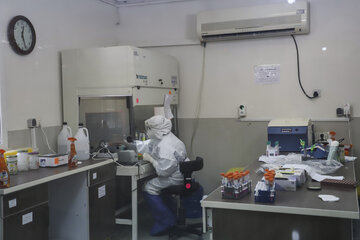 آزمایشگاه ویروس کرونا