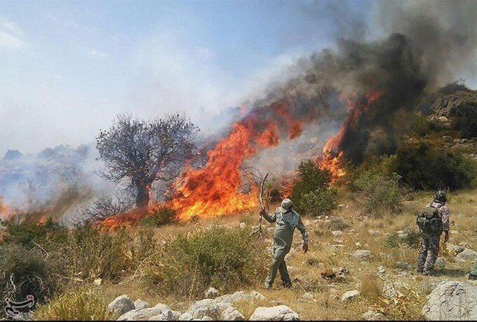 جویندگان گیاهان دارویی، موجب آتش‌سوزی در منطقه کهنکویه فسا شدند