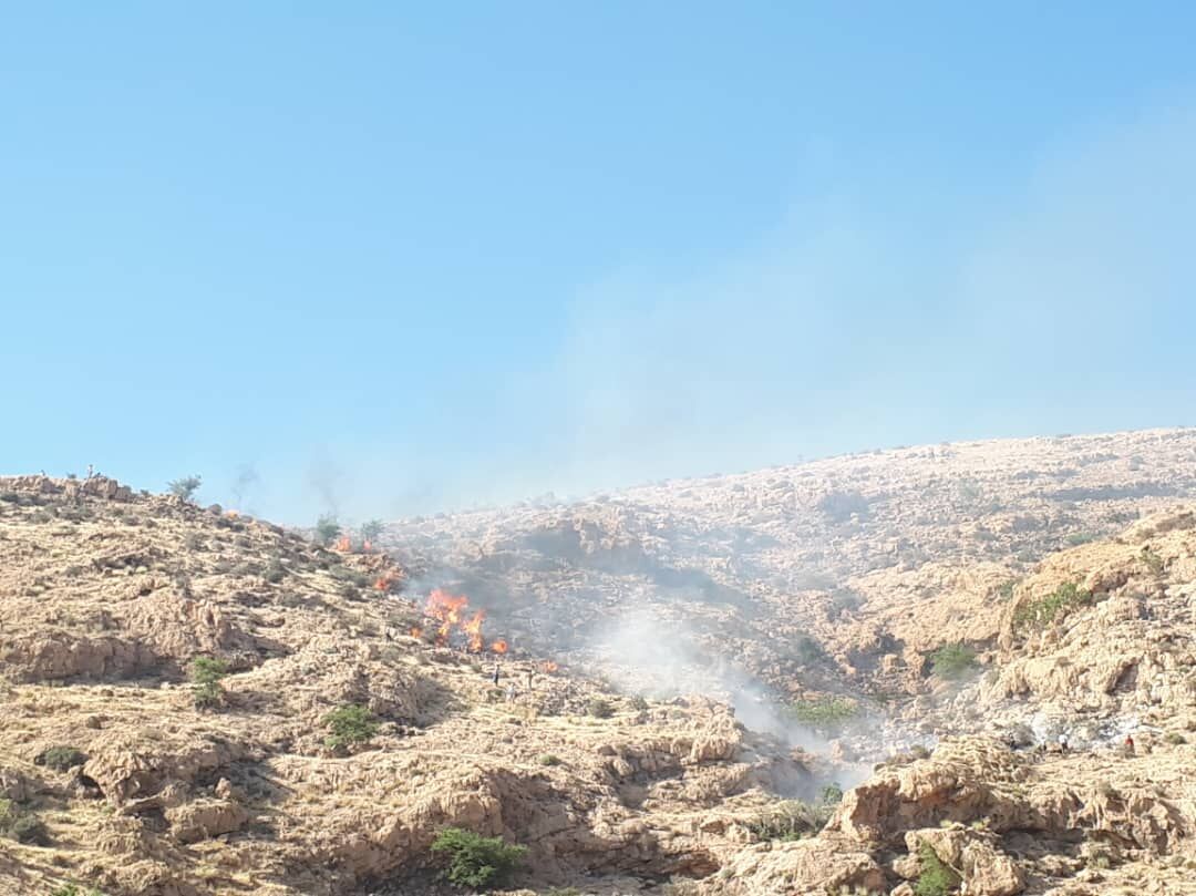 جنگل ها و مراتع ماهور باشت در گچساران طعمه حریق شد