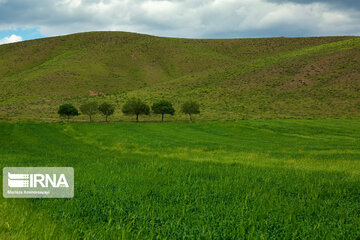 Nature attraction in Iran