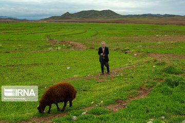 Nature attraction in Iran