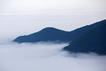 Forêt de nuages du Tuskestan, un site naturel spectaculaire au nord de l'Iran