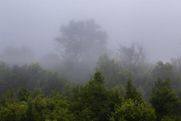 Forêt de nuages du Tuskestan, un site naturel spectaculaire au nord de l'Iran